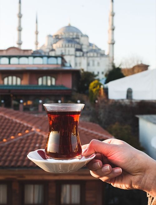 Fenolik ve Antioksidan